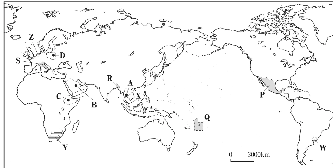 世界の略地図。首都A〜D、国P〜S(色つき)、国W〜Zが示されている